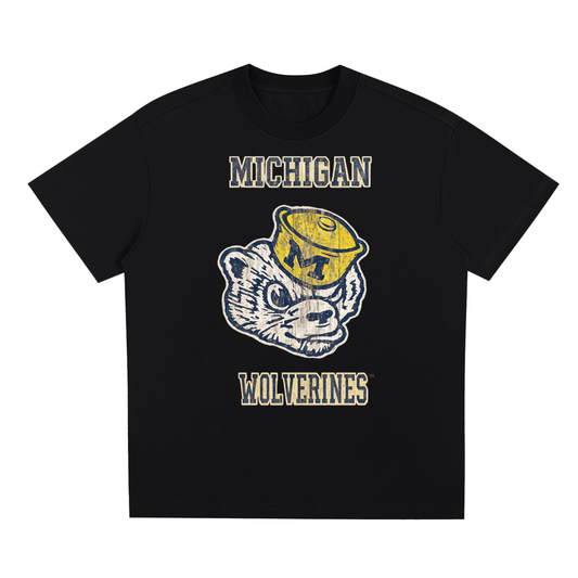 (a) Michigan