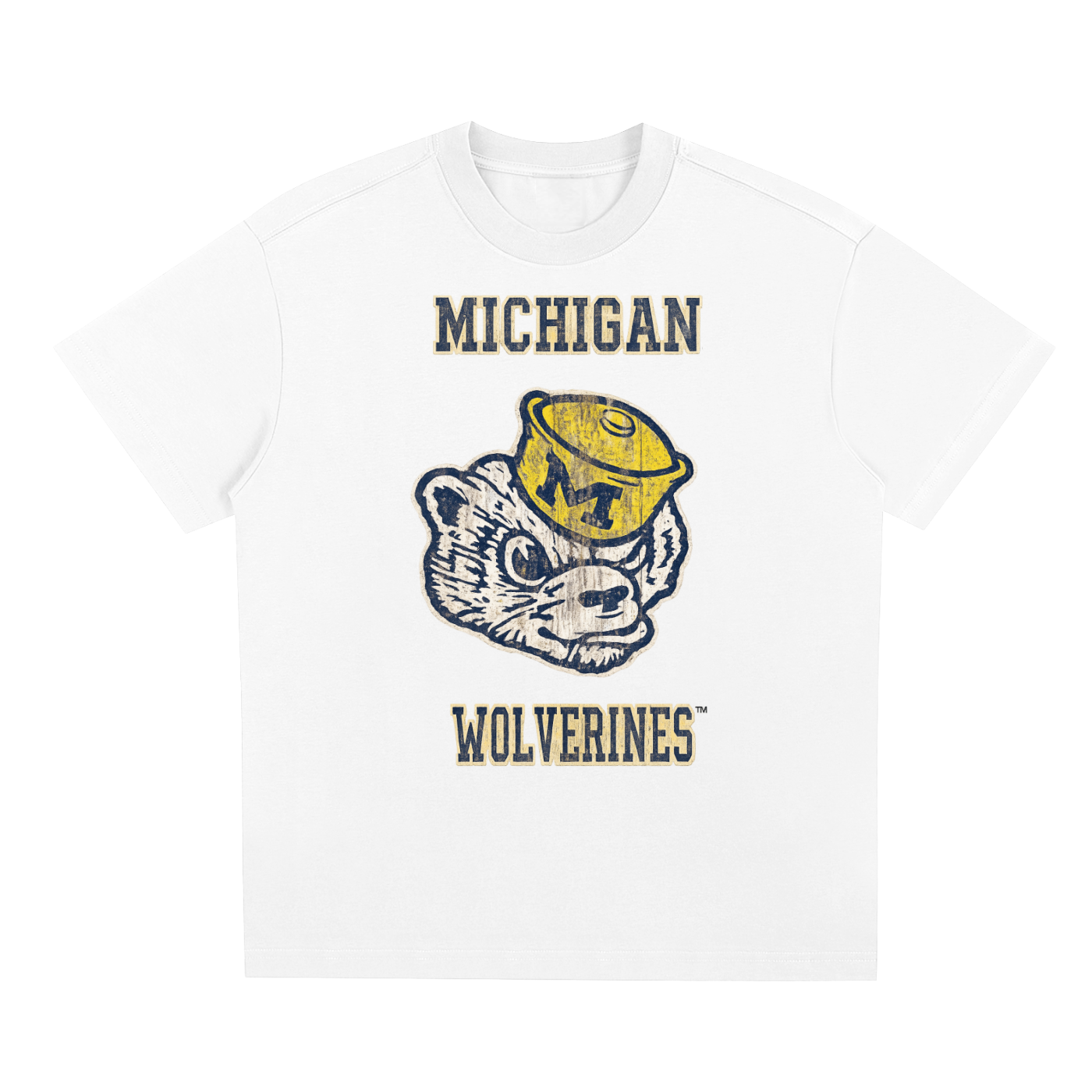 (a) Michigan