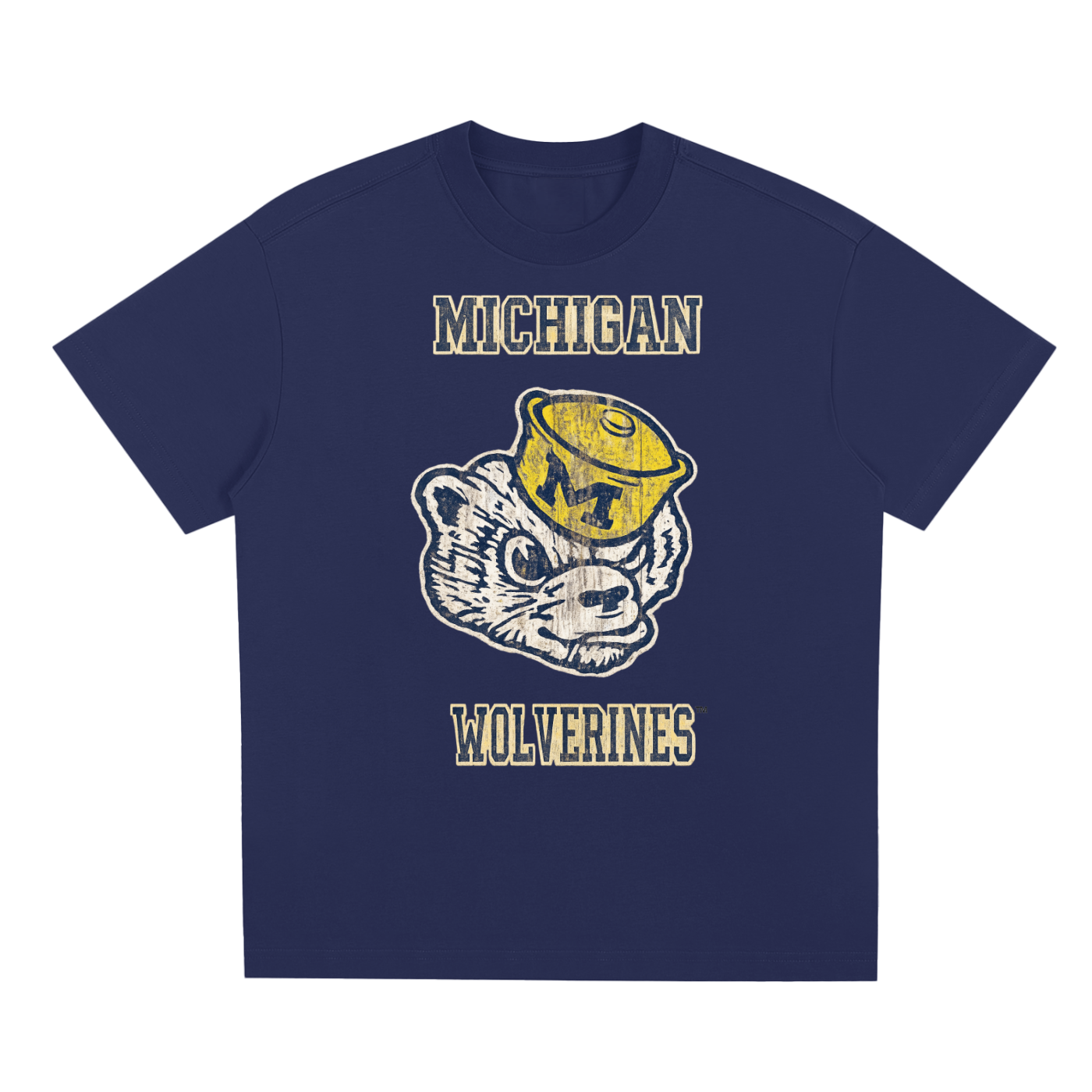 (a) Michigan